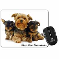 Yorkshire Terriers 