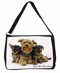 Yorkshire Terriers 