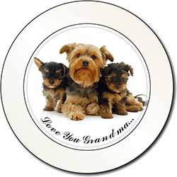 Yorkshire Terriers 