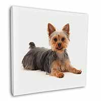 Yorkshire Terrier Dog Square Canvas 12"x12" Wall Art Picture Print