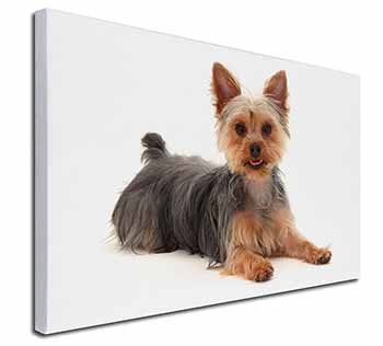 Yorkshire Terrier Dog Canvas X-Large 30"x20" Wall Art Print