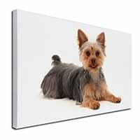 Yorkshire Terrier Dog Canvas X-Large 30"x20" Wall Art Print