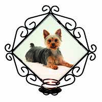 Yorkshire Terrier Dog Wrought Iron Wall Art Candle Holder