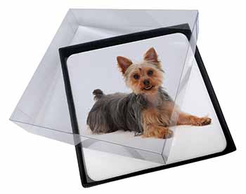4x Yorkshire Terrier Dog Picture Table Coasters Set in Gift Box