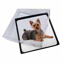 4x Yorkshire Terrier Dog Picture Table Coasters Set in Gift Box