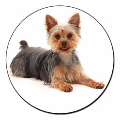 Yorkshire Terrier Dog Fridge Magnet Printed Full Colour