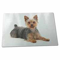 Large Glass Cutting Chopping Board Yorkshire Terrier Dog