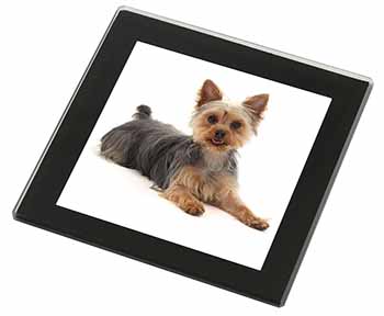 Yorkshire Terrier Dog Black Rim High Quality Glass Coaster