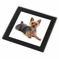 Yorkshire Terrier Dog Black Rim High Quality Glass Coaster