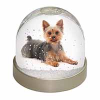 Yorkshire Terrier Dog Snow Globe Photo Waterball