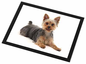 Yorkshire Terrier Dog Black Rim High Quality Glass Placemat