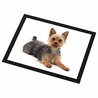 Yorkshire Terrier Dog Black Rim High Quality Glass Placemat