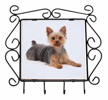 Yorkshire Terrier Dog Wrought Iron Key Holder Hooks