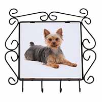 Yorkshire Terrier Dog Wrought Iron Key Holder Hooks