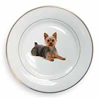 Yorkshire Terrier Dog Gold Rim Plate Printed Full Colour in Gift Box