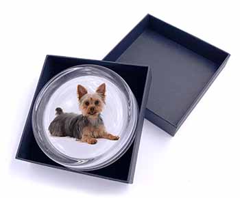 Yorkshire Terrier Dog Glass Paperweight in Gift Box