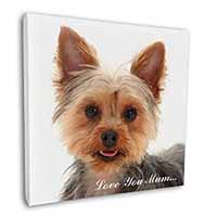 Yorkshire Terrier Dog 