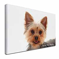 Yorkshire Terrier Dog 