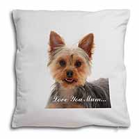 Yorkshire Terrier Dog 