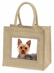 Yorkshire Terrier Dog 