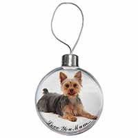 Yorkshire Terrier Dog 