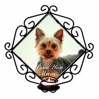 Yorkshire Terrier Dog 