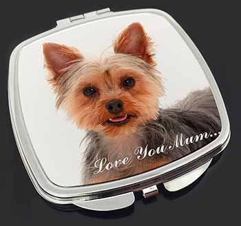 Yorkshire Terrier Dog 