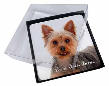 4x Yorkshire Terrier Dog 