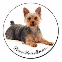 Yorkshire Terrier Dog 