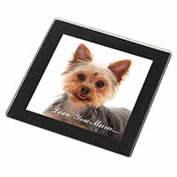 Yorkshire Terrier Dog 