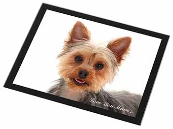 Yorkshire Terrier Dog 