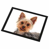 Yorkshire Terrier Dog 