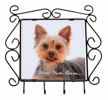 Yorkshire Terrier Dog 