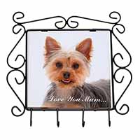 Yorkshire Terrier Dog 