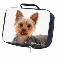 Yorkshire Terrier Dog 