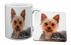 Yorkshire Terrier Dog 