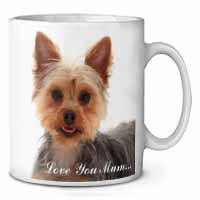 Yorkshire Terrier Dog 