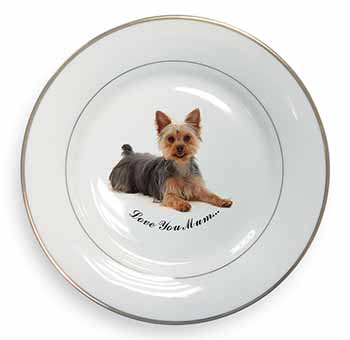 Yorkshire Terrier Dog 