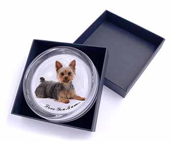 Yorkshire Terrier Dog 