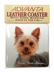 Yorkshire Terrier Dog 