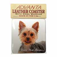 Yorkshire Terrier Dog 