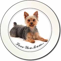 Yorkshire Terrier Dog 