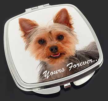 Yorkie Dog 
