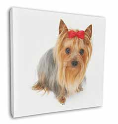 Yorkshire Terrier Dog Square Canvas 12"x12" Wall Art Picture Print