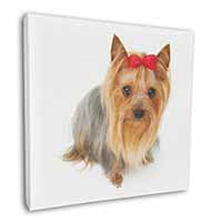 Yorkshire Terrier Dog Square Canvas 12"x12" Wall Art Picture Print