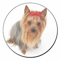 Yorkshire Terrier Dog Fridge Magnet Printed Full Colour