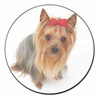 Yorkshire Terrier Dog Fridge Magnet Printed Full Colour