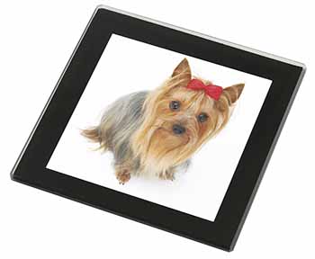 Yorkshire Terrier Dog Black Rim High Quality Glass Coaster