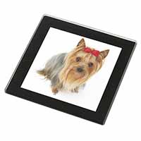 Yorkshire Terrier Dog Black Rim High Quality Glass Coaster