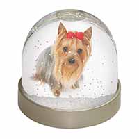 Yorkshire Terrier Dog Snow Globe Photo Waterball